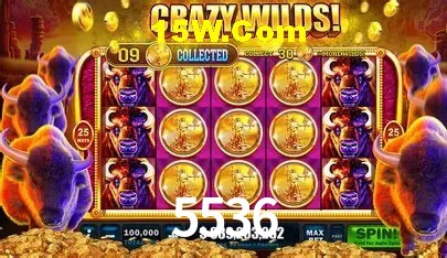 5536 Salvador - Football